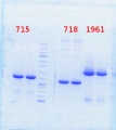 Thumbnail for version as of 16:59, 8 January 2014