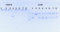 Thumbnail for version as of 16:28, 28 July 2014