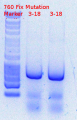 Thumbnail for version as of 14:56, 27 March 2015