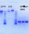 Thumbnail for version as of 13:55, 2 January 2014