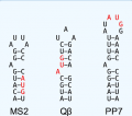 Thumbnail for version as of 21:42, 23 February 2020