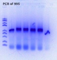 Thumbnail for version as of 20:49, 22 June 2018