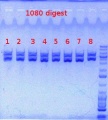 Thumbnail for version as of 14:16, 25 April 2012