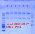 Thumbnail for version as of 15:04, 30 April 2012