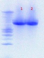 Thumbnail for version as of 17:17, 11 July 2012