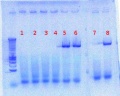 Thumbnail for version as of 15:46, 10 July 2012