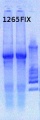 Thumbnail for version as of 14:41, 25 April 2013