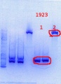 Thumbnail for version as of 11:18, 13 December 2013