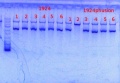 Thumbnail for version as of 10:05, 20 December 2013