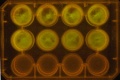 Thumbnail for version as of 13:20, 7 January 2012