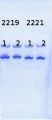 Thumbnail for version as of 14:39, 24 June 2014