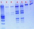 Thumbnail for version as of 12:20, 25 July 2011