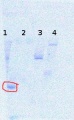 Thumbnail for version as of 15:57, 26 December 2012