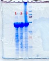Thumbnail for version as of 16:09, 8 January 2013