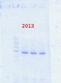 Thumbnail for version as of 11:56, 30 January 2014