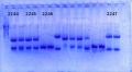 Thumbnail for version as of 16:14, 7 July 2014