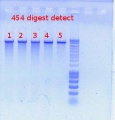 Thumbnail for version as of 17:25, 21 November 2011