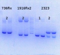Thumbnail for version as of 13:10, 20 October 2014
