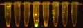 Thumbnail for version as of 16:47, 23 March 2011
