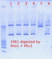 Thumbnail for version as of 10:18, 18 April 2012