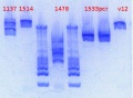 Thumbnail for version as of 17:57, 18 January 2013