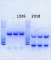 Thumbnail for version as of 12:15, 24 January 2014
