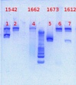 Thumbnail for version as of 15:22, 5 March 2013