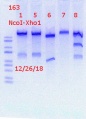 Thumbnail for version as of 13:22, 28 December 2018