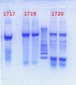 Thumbnail for version as of 10:24, 19 April 2013