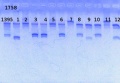 Thumbnail for version as of 12:04, 10 June 2013