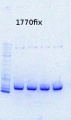 Thumbnail for version as of 15:51, 18 July 2013