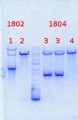 Thumbnail for version as of 14:56, 2 August 2013