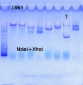 Thumbnail for version as of 17:35, 26 September 2013