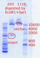 Thumbnail for version as of 15:05, 30 April 2012