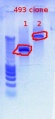 Thumbnail for version as of 13:27, 13 December 2011