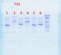 Thumbnail for version as of 14:21, 19 March 2014