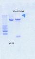 Thumbnail for version as of 15:34, 22 September 2016
