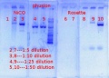 Thumbnail for version as of 08:45, 13 June 2012