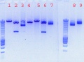 Thumbnail for version as of 23:05, 25 October 2010