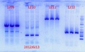 Thumbnail for version as of 09:25, 14 June 2012