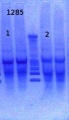 Thumbnail for version as of 15:43, 15 March 2013