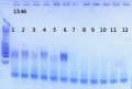 Thumbnail for version as of 14:43, 6 February 2013