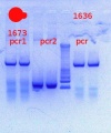 Thumbnail for version as of 13:01, 14 March 2013