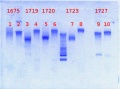 Thumbnail for version as of 13:48, 16 April 2013