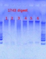 Thumbnail for version as of 12:21, 3 May 2013