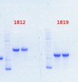 Thumbnail for version as of 14:41, 12 August 2013