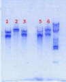 Thumbnail for version as of 17:58, 28 February 2014