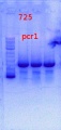 Thumbnail for version as of 17:35, 17 January 2014