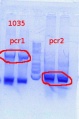 Thumbnail for version as of 15:09, 23 July 2013