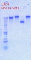 Thumbnail for version as of 14:11, 10 September 2012